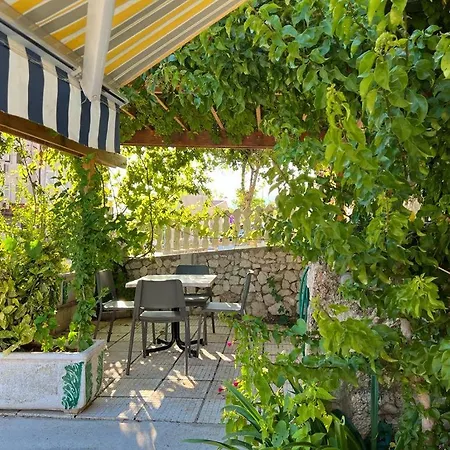 公寓 Pansion Ivana 巴什卡沃达