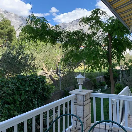 Pansion Ivana * 巴什卡沃达