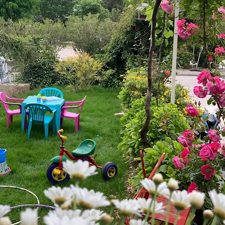 Pansion Ivana * 巴什卡沃达