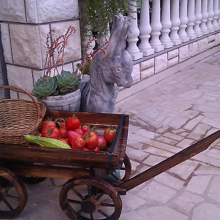 Apartment Pansion Ivana
